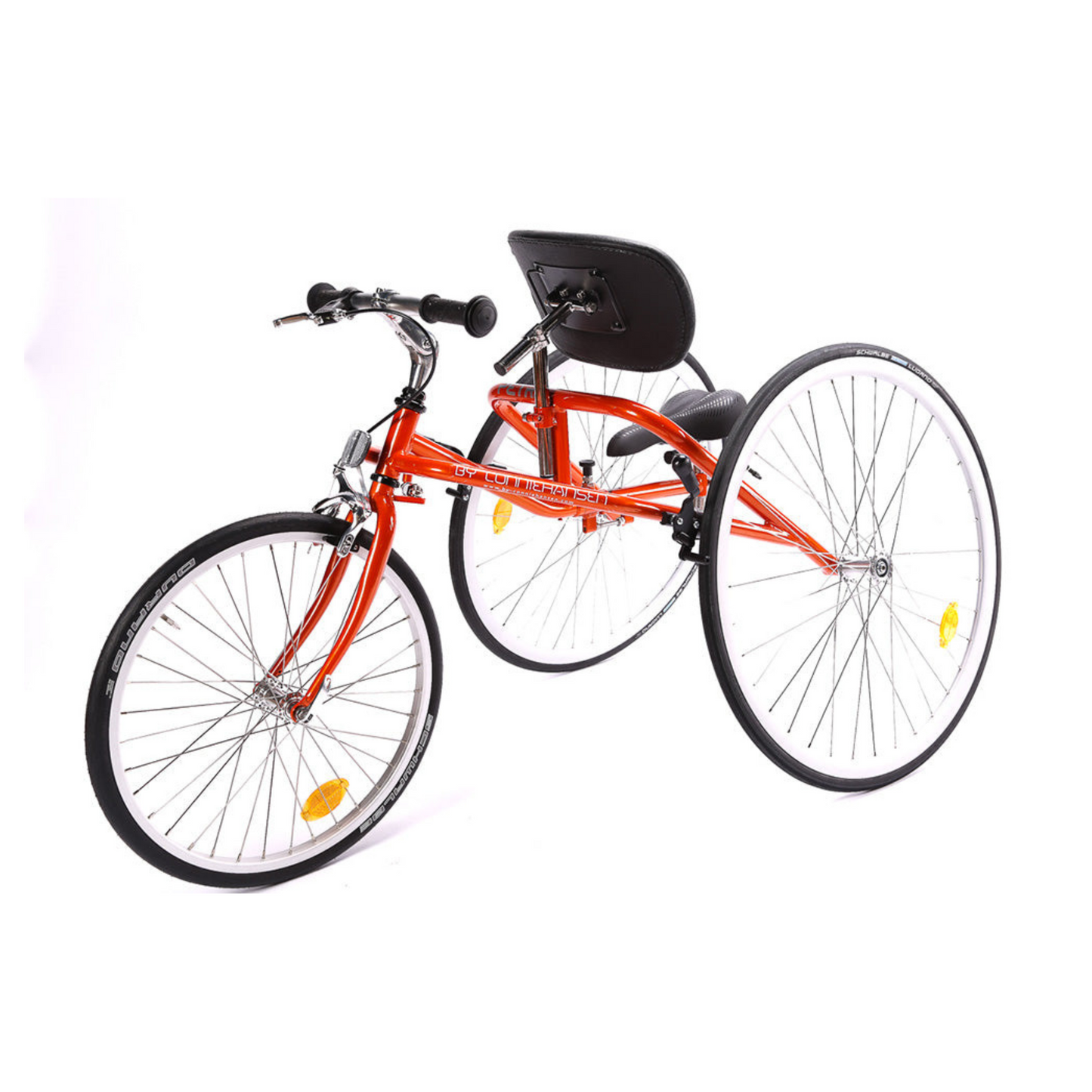 PETRA RaceRunner