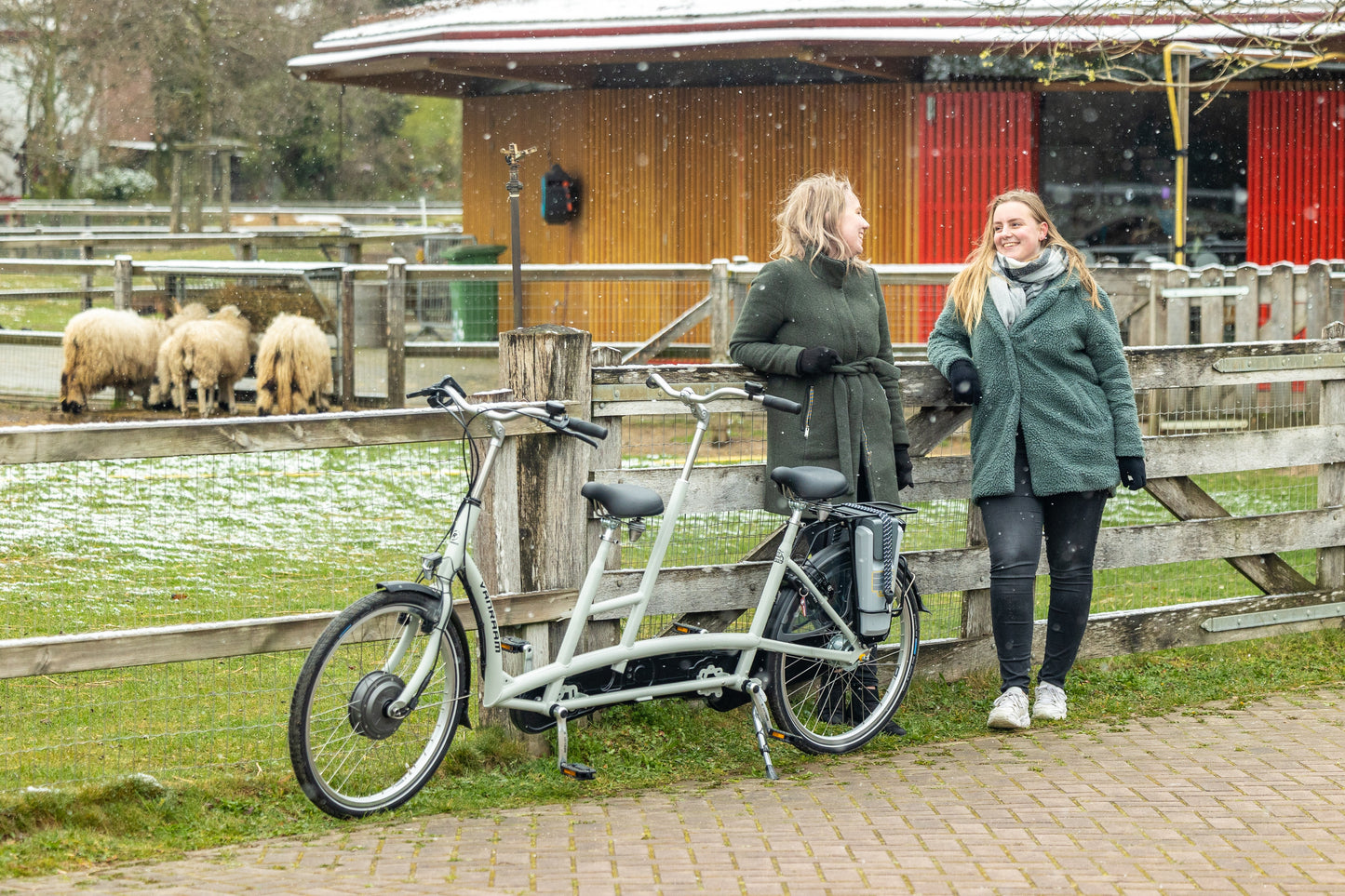 Van Raam Twinny tandem fyrir fullorðna