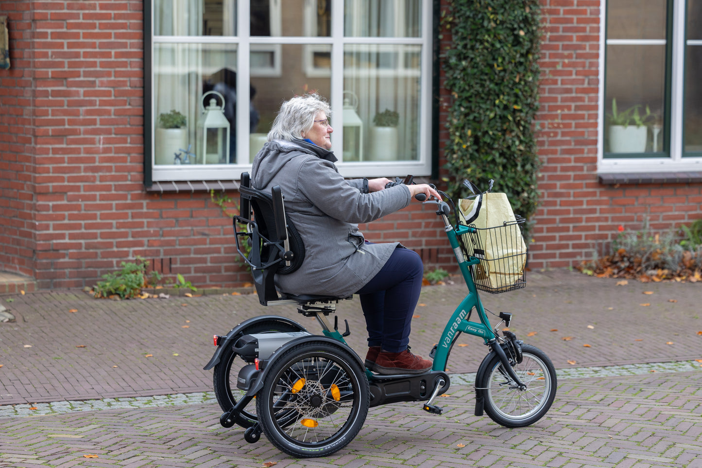 Van Raam Easy Go rafskutla og hjól