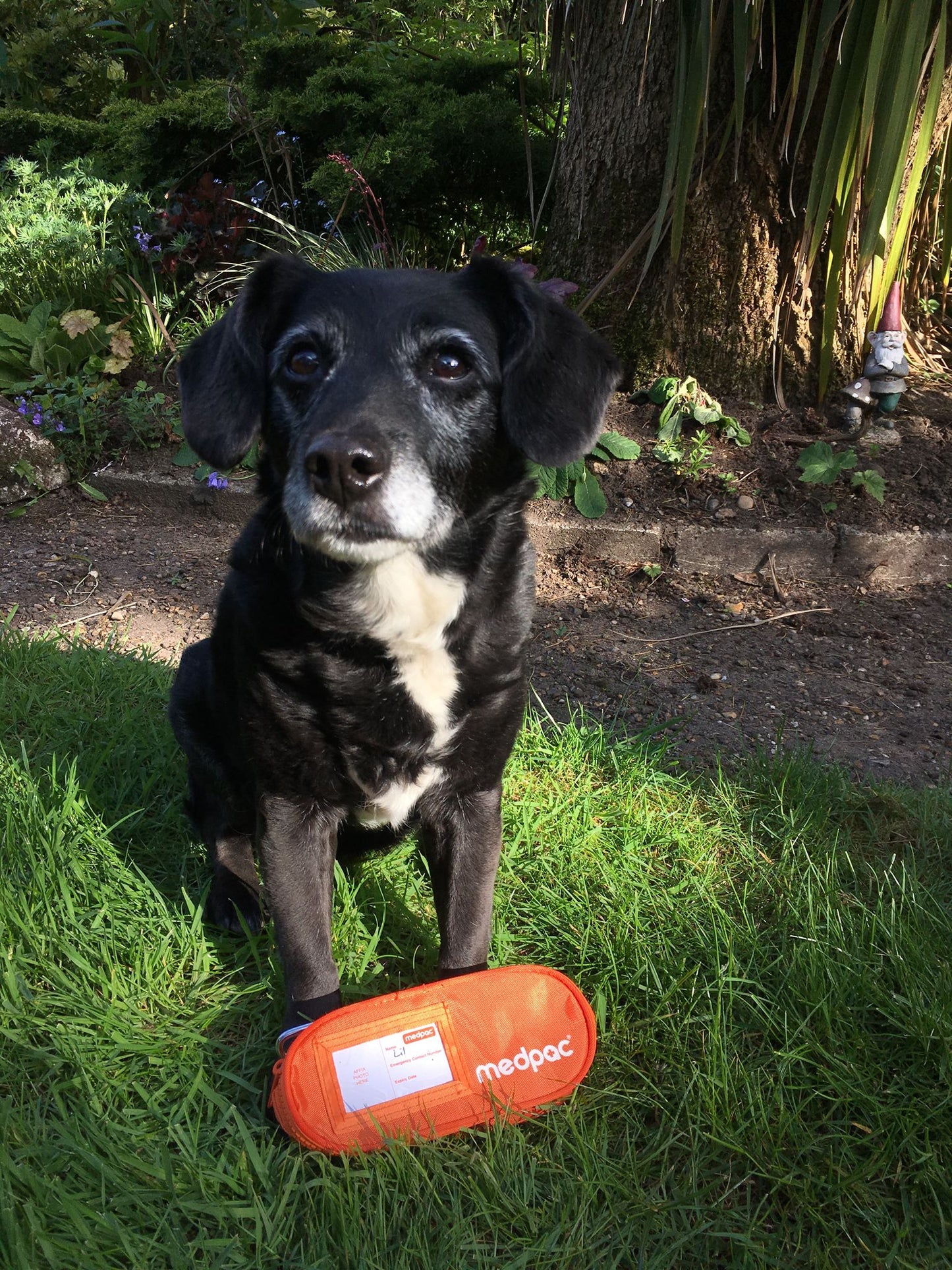 Medpac lyfjataska -  Lítil