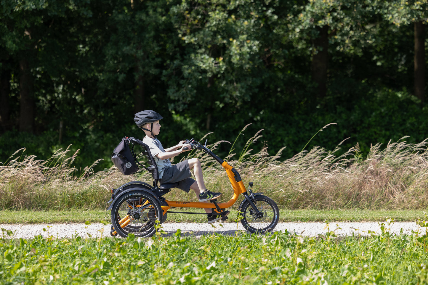 VanRaam Easy Rider Compact Small