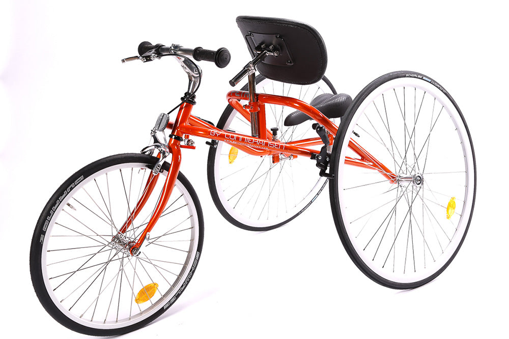 PETRA RaceRunner