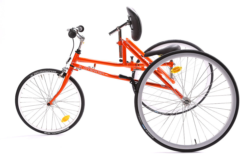 PETRA RaceRunner