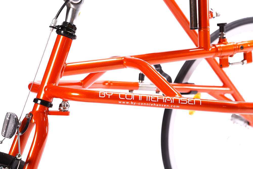 PETRA RaceRunner