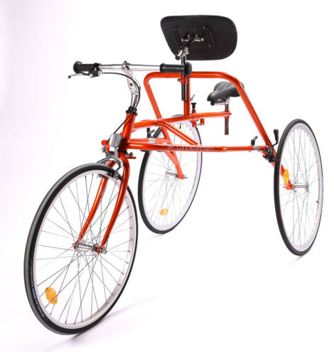 PETRA RaceRunner
