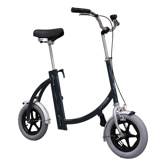 Leiga á City Walker - Göngu og Stuðningshjóli