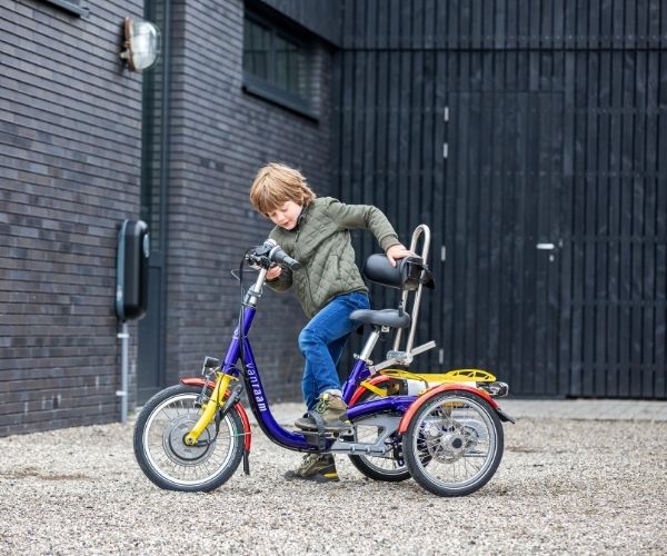 VanRaam Mini þríhjól
