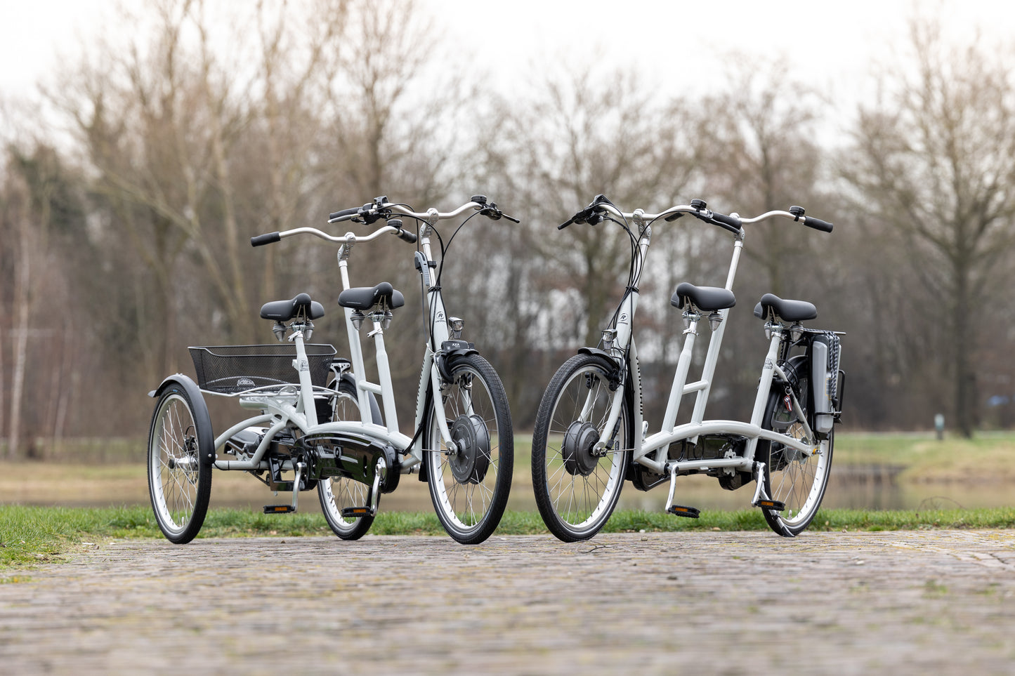 Van Raam Twinny Plus tandem