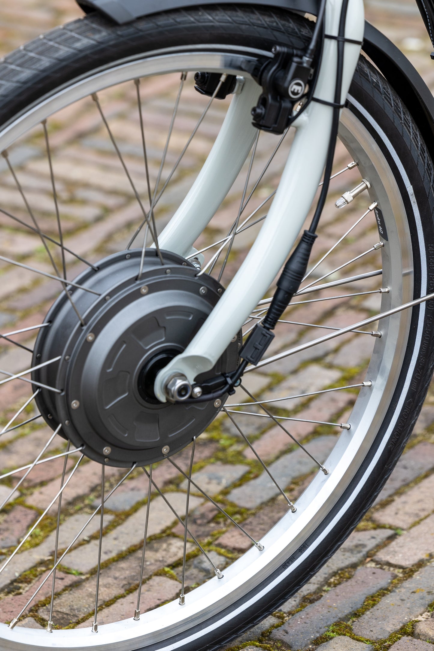 Van Raam Twinny tandem fyrir fullorðna