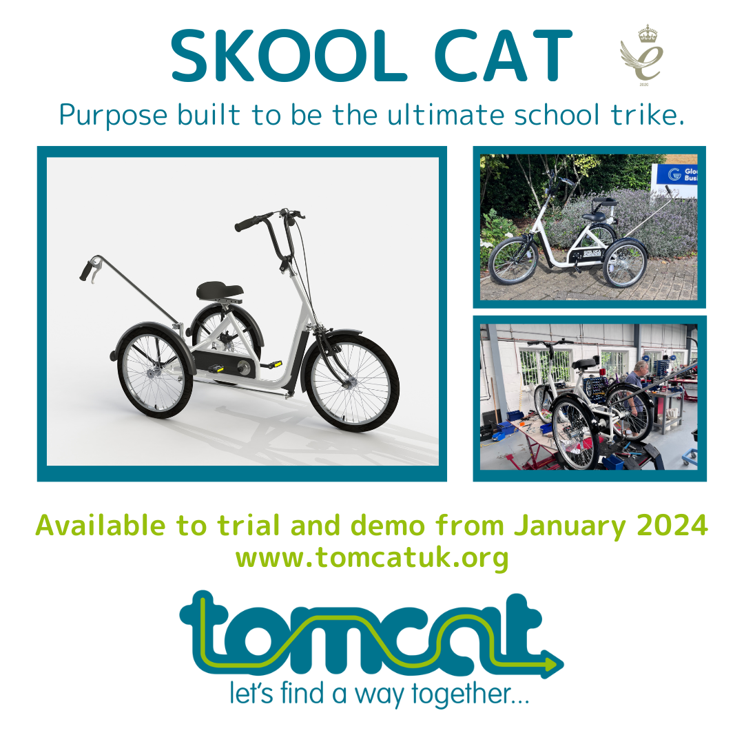 Tomcat Skool Kat