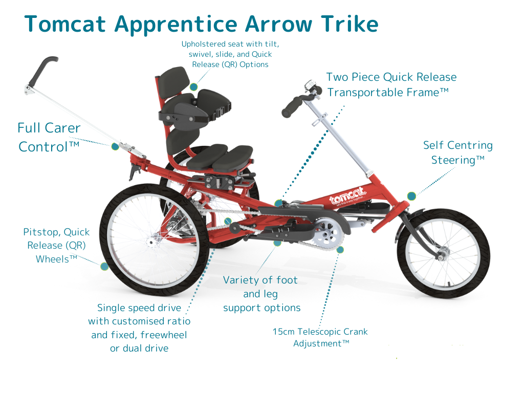Tomcat Apprentice Arrow