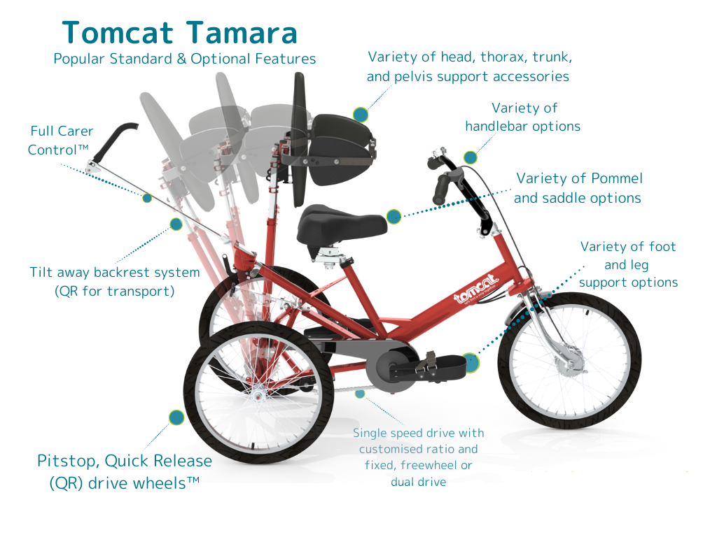 Tomcat Tamara