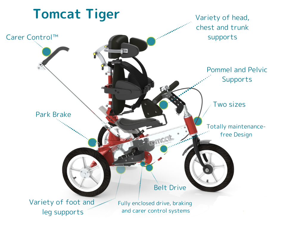Tomcat Tiger